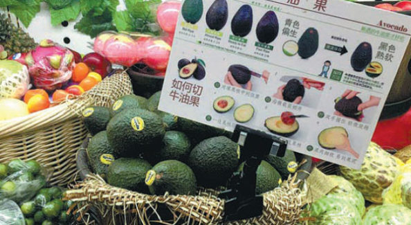 Avocat en Chine