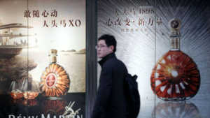 Daxue Conseil-marché du cognac en Chine